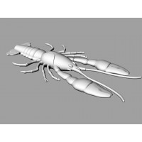 143-CFD - 3.15" (TAIL EDITION)