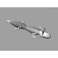 841-MudPuppy - 3.25"