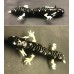 841-MudPuppy - 3.25"